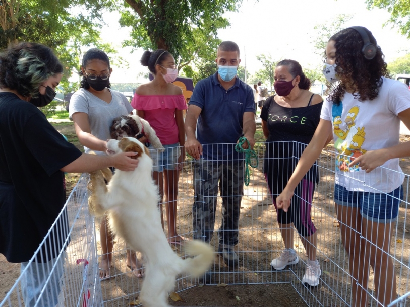 Feira de Adoção de Cães de Barueri retorna no domingo